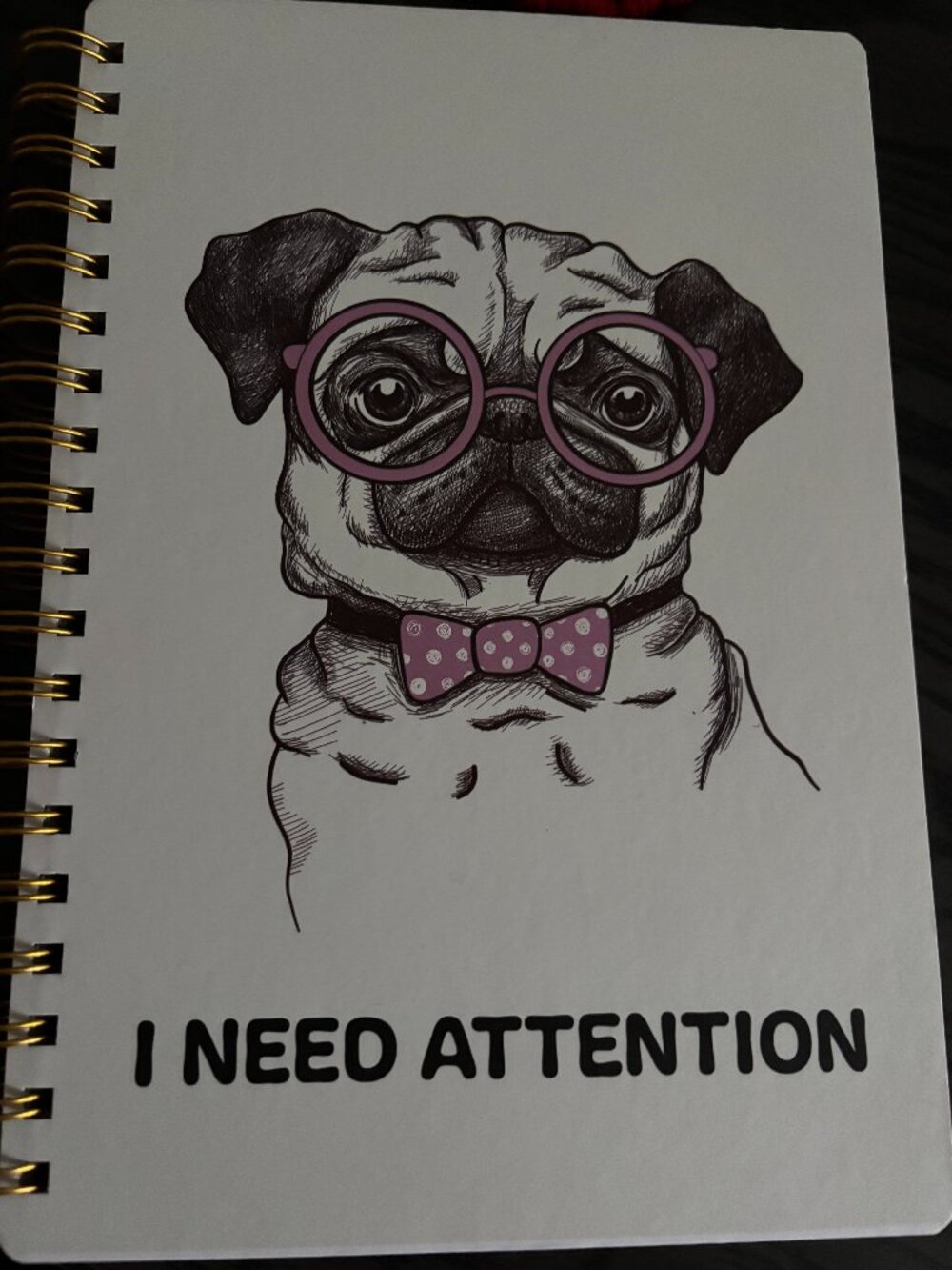 Lined Journal/Notebook NWT